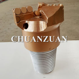 교환할 수 있는 나사 분사구를 가진 황금 112MM PDC 드릴용 날 S232 IADC